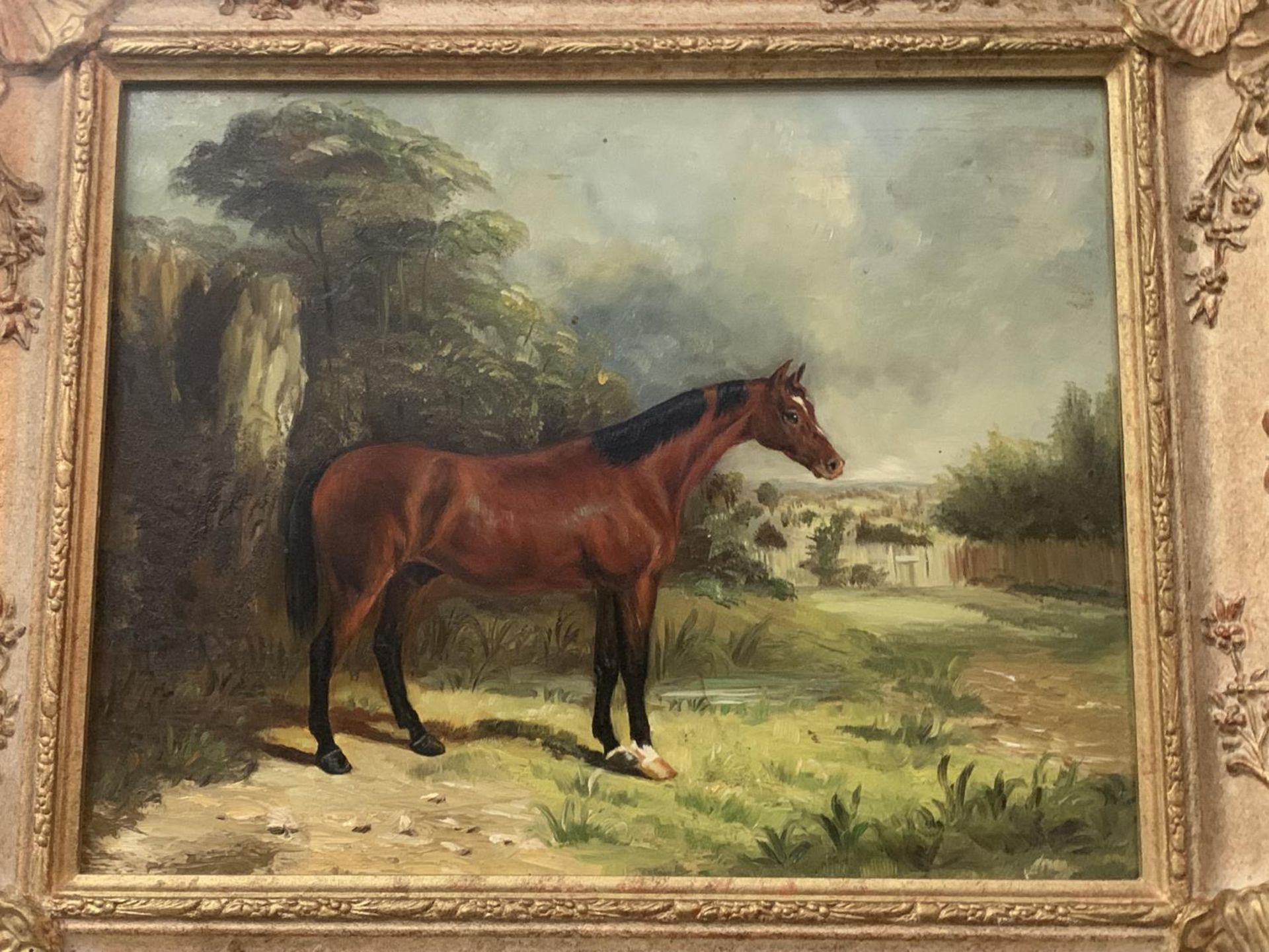A ORNATE FRAMED POSSIBLY OIL ON BOARD OF A RACE HORSE NIPISIQUIT - Image 2 of 5