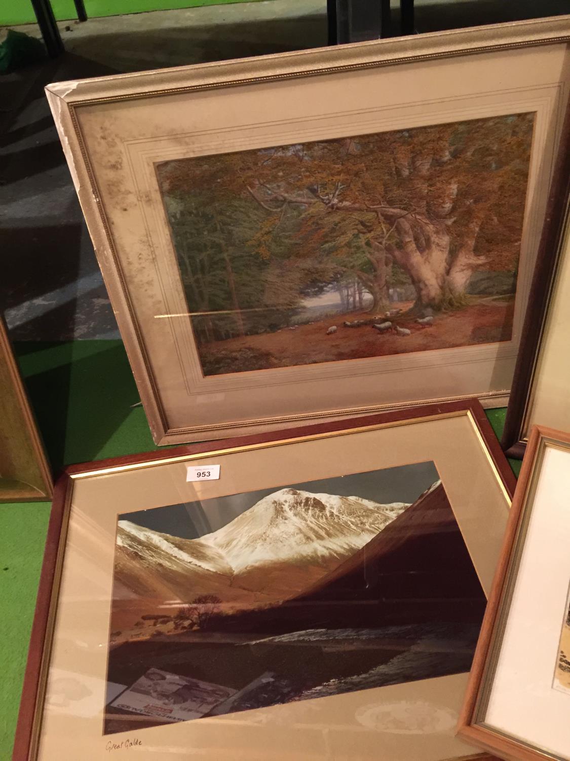 FOUR FRAMED PRINTS/ PHOTOS AND ONE UNFRAMED OF WINDEMERE, GREAT GABLE, A BIRD, ETC - Image 3 of 4