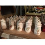 A COLLECTION OF TWENTY FIVE 'THE FLOWER FAIRY' SPICE JARS