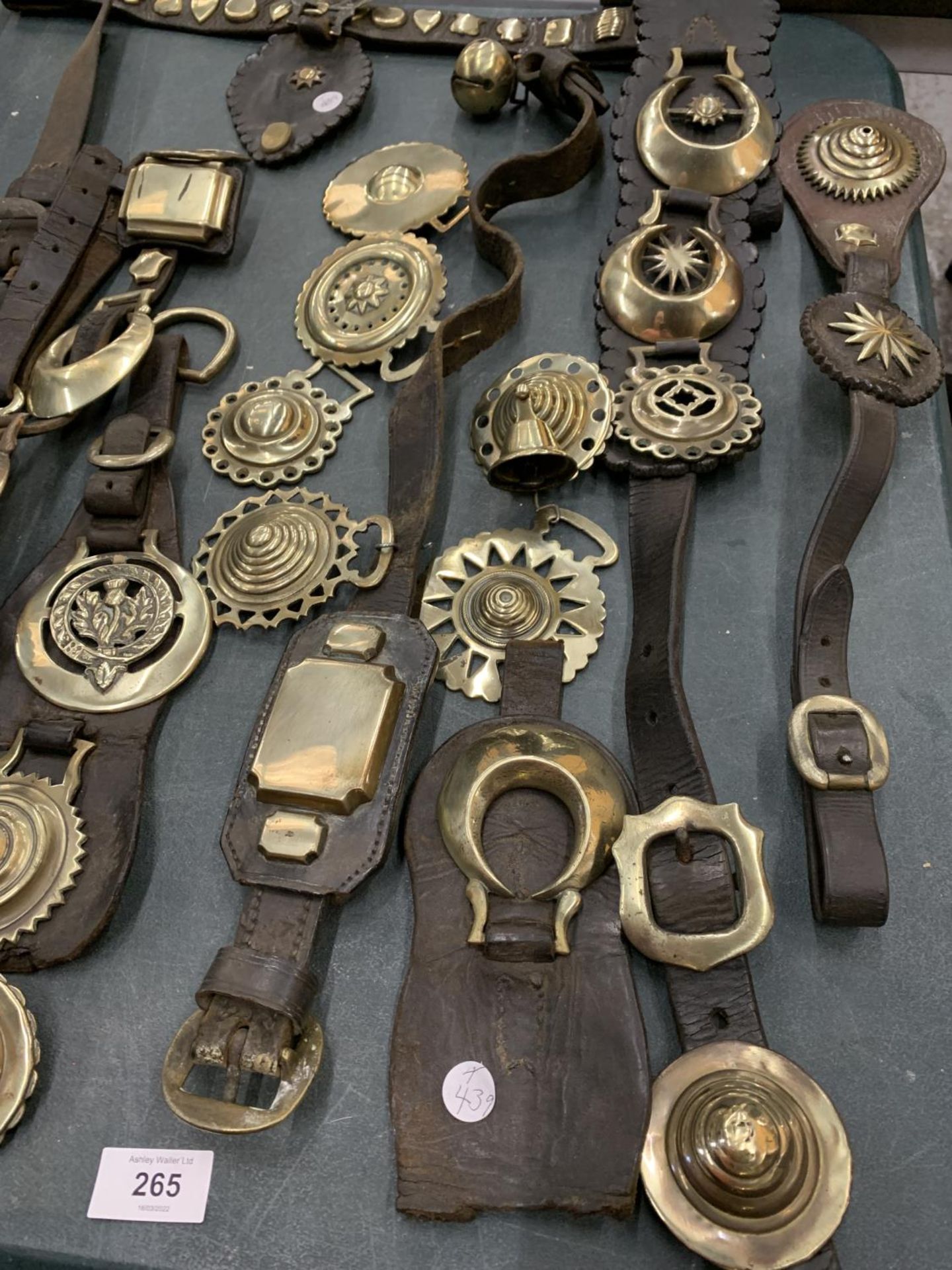 A LARGE COLLECTION OF HORSE BRASSES, SOME ON LEATHER STRAPS - Image 3 of 5