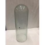 A VERY LARGE GLASS CLOCHE/DOME 73CM TALL