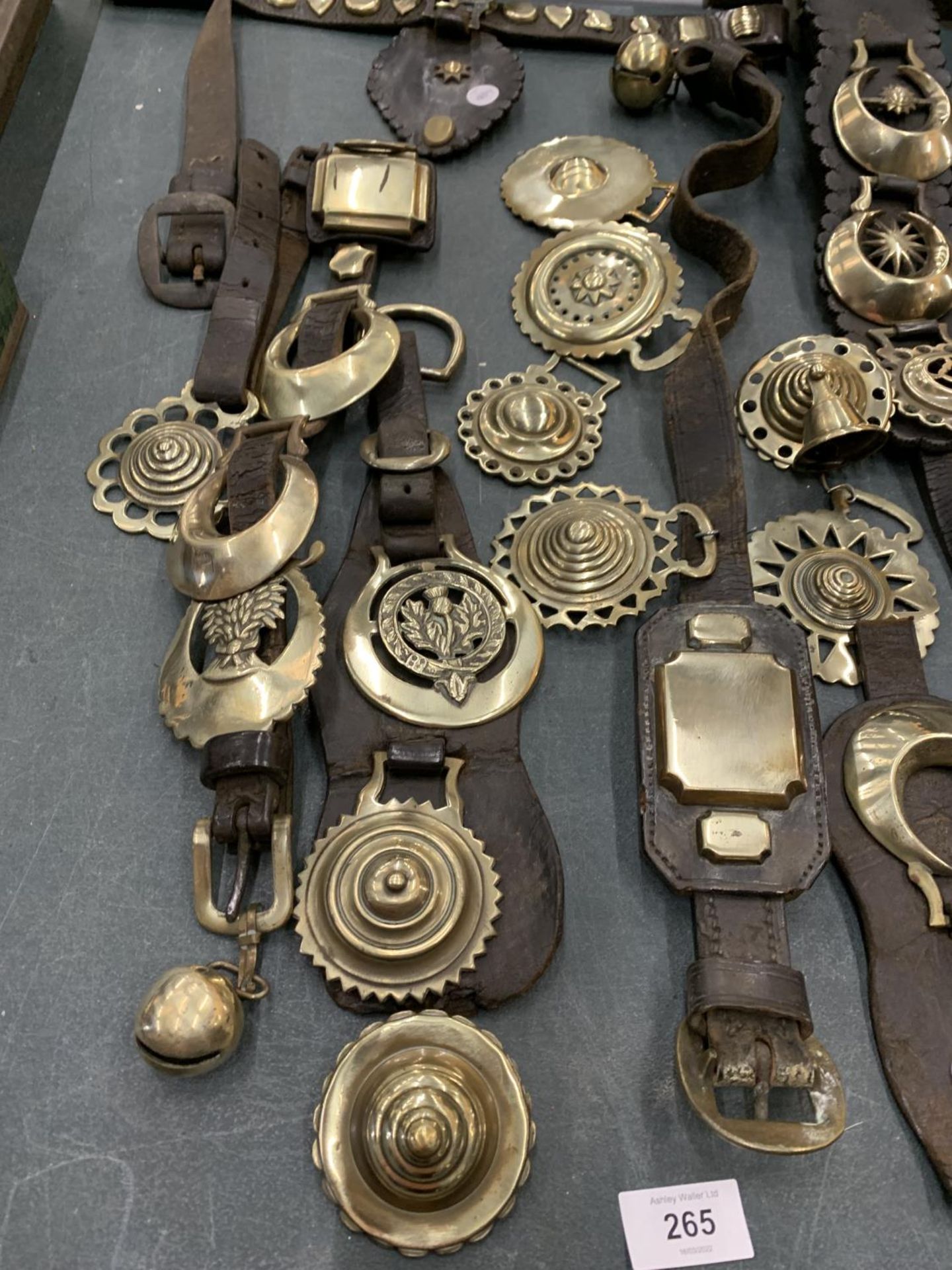 A LARGE COLLECTION OF HORSE BRASSES, SOME ON LEATHER STRAPS - Image 2 of 5
