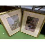 TWO FRAMED PRINTS OF BIRDS BY ARCHIBOLD THORBURN