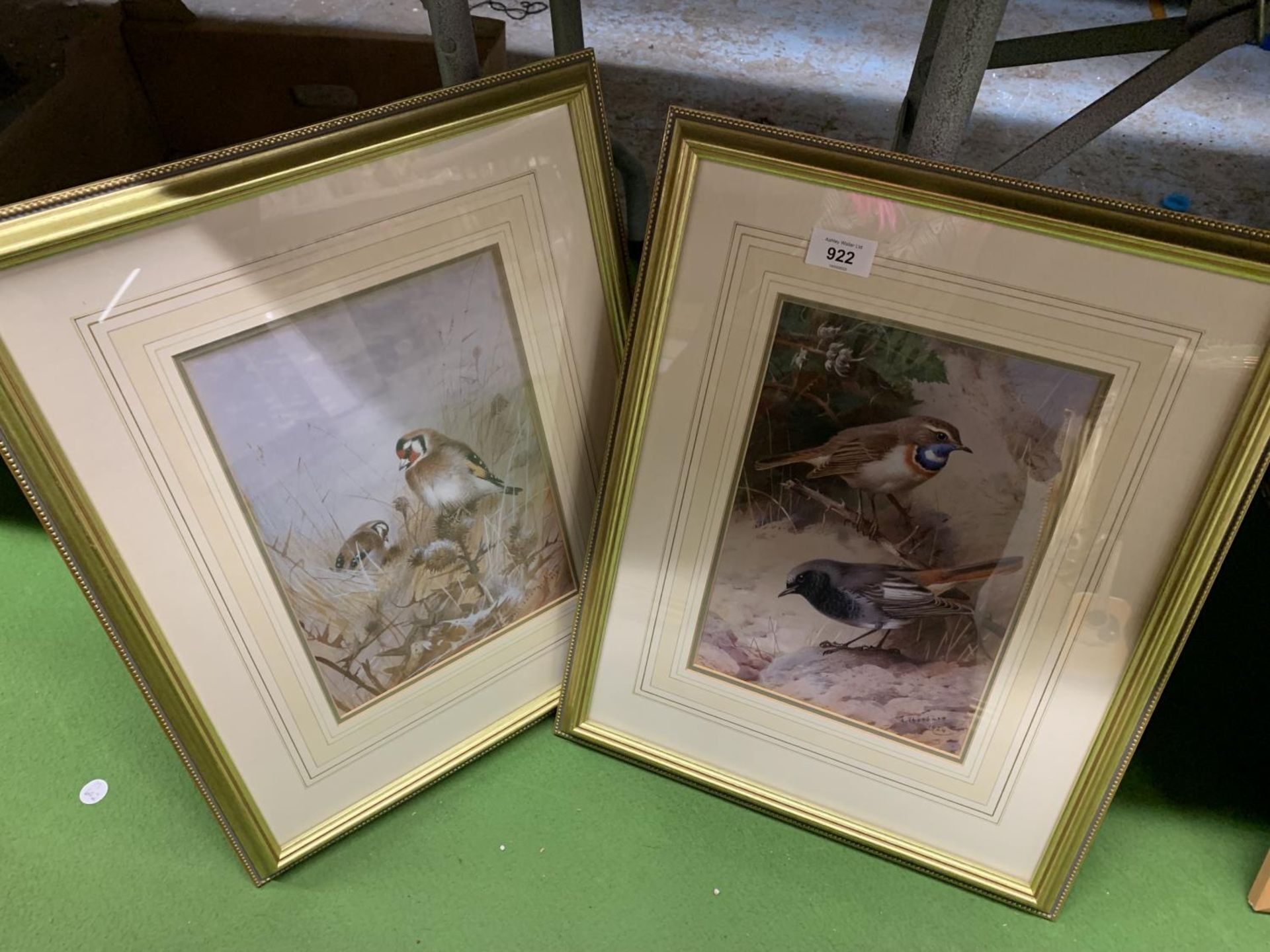 TWO FRAMED PRINTS OF BIRDS BY ARCHIBOLD THORBURN