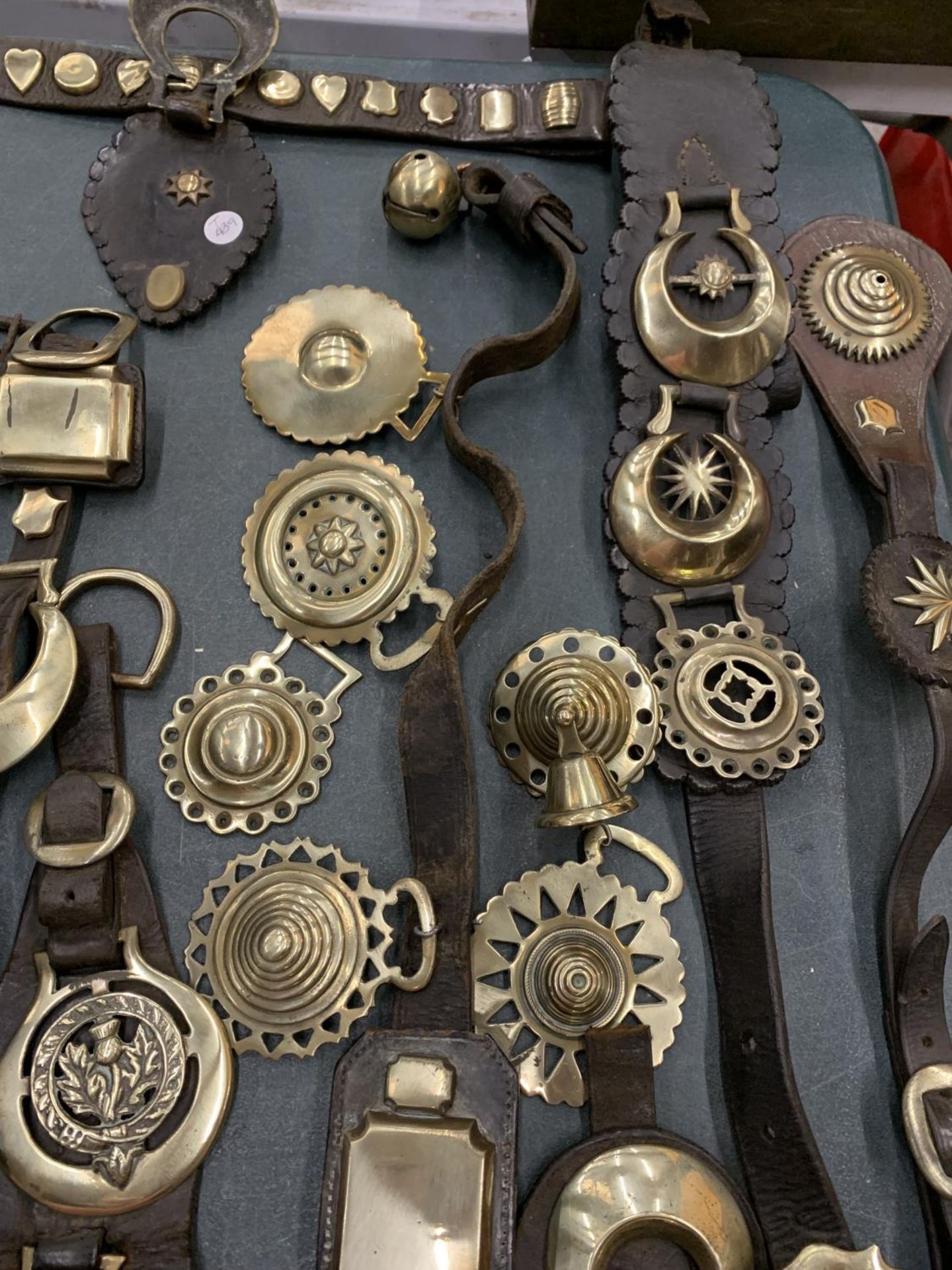 A LARGE COLLECTION OF HORSE BRASSES, SOME ON LEATHER STRAPS - Image 4 of 5
