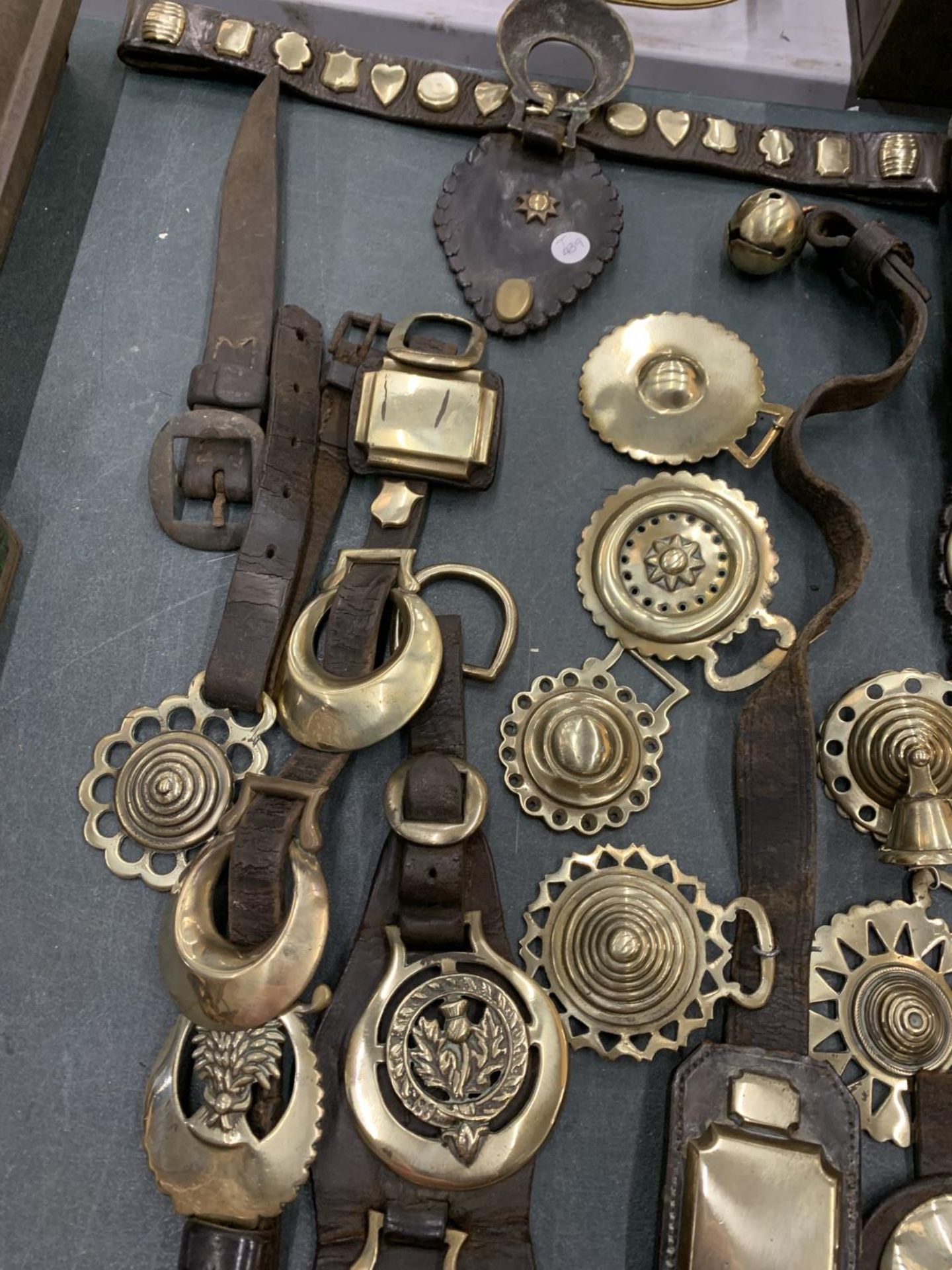 A LARGE COLLECTION OF HORSE BRASSES, SOME ON LEATHER STRAPS - Image 5 of 5