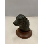 A SCULPTED LABRADOR BUST OF A PLINTH SIGNED DOUGLAS GRAY