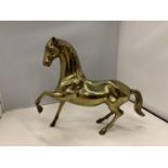 A BRASS HORSE FIGURE STANDING AT 31CM IN HEIGHT