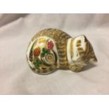 A ROYAL CROWN DERBY COTTAGE GARDEN KITTEN WITH A GOLD COLOURED STOPPER