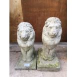 A PAIR OF RECONSTITUTED STONE LIONS ON BASE