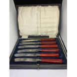 A BOXED SET OF SIX KNIVES WITH HALLMARKED SHEFFIELD COLLARS