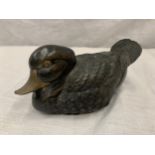 A BRONZE FIGURE OF A SITTING DUCK WITH GILT BEAK LENGTH APPROX 16CM