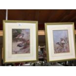 TWO FRAMED PRINTS OF BIRDS BY ARCHIBOLD THORBURN