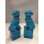 A PAIR OF TURQUOISE CHINESE FOO DOGS 25CM TALL