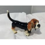 A GERMAN GOEBEL BASSET HOUND VGC