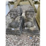 A PAIR OF RECONSTITUTED STONE CROUCHING LIONS (L:66CM)