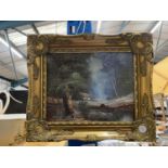 A GILT FRAMED OIL ON BOARD OF A WOODED SCENE 34CM X 28CM