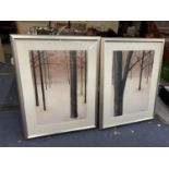 A VERY LARGE PAIR OF MINIMALIST WOODLAND SCENE SIGNED PRINTS H: 75CM W: 97CM