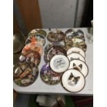 A COLLECTION OF CABINET PLATES INCLUDING BRADEX 'KITTENS' PLATES, COALPORT CAT PLATES, ETC