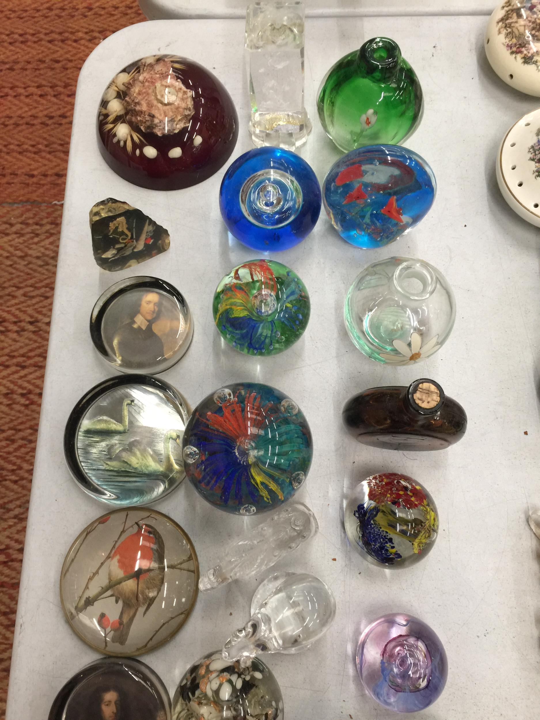 A COLLECTION OF GLASS PAPERWEIGHTS TO INCLUDE FLORAL, ANIMALS, ETC, PLUS A SIGNED M'DINA VASE - Bild 7 aus 8