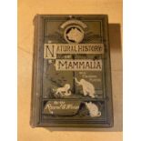 AN ILLUSTRATED NATURAL HISTORY OF MAMMALS - J G WOOD - CIRCA 1865 GILT ILLUSTRATED BOARDS, MINOR