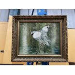 A GILT FRAMED OIL ON CANVAS OF TWO WILD WATER BIRDS SIGNED FERDINAND W: 32CM