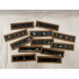 TWELVE HAND PAINTED MAGIC LANTERN SLIDES IN A WOODEN STORAGE BOX