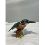 A BESWICK KINGFISHER 2371. SMALL CHIP TO THE TIP OF THE BEAK