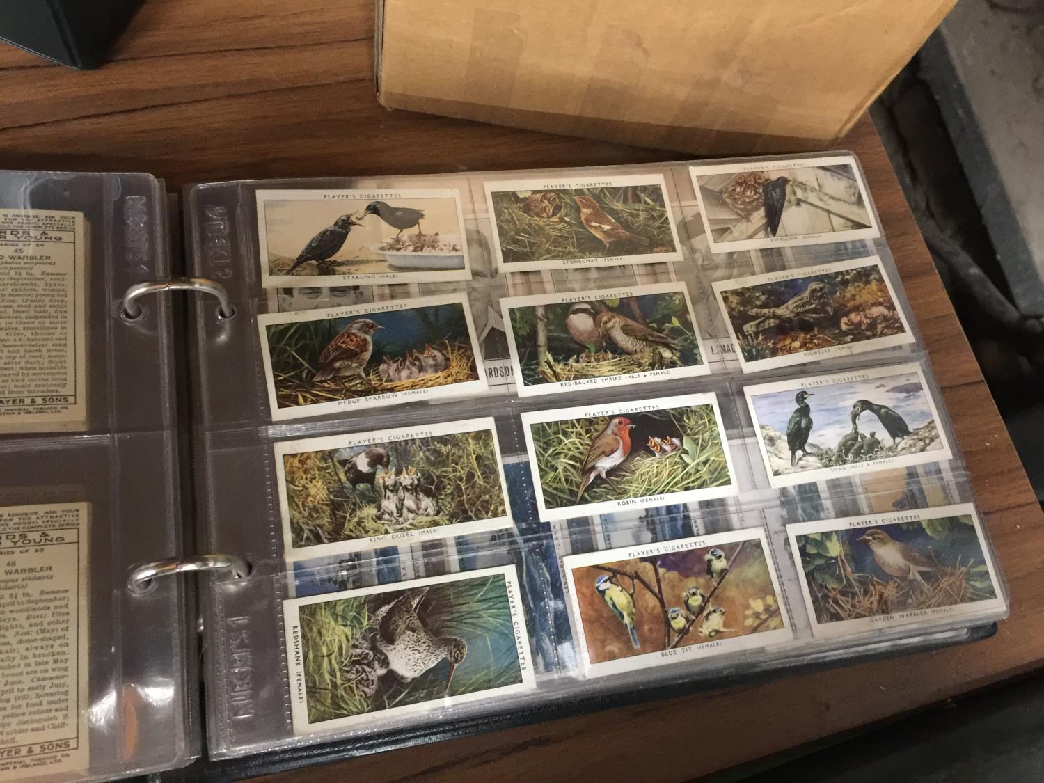 A LARGE COLLECTION OF CIGARETTE CARDS TO INCLUDE AN ALBUM CONTAINING SHIPS, DOGS, HERALDRY, OLD - Bild 7 aus 7