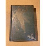 A 1907 FIRST EDITION THE OLIVE FAIRY BOOK - ANDREW LANG - PUBLISHED BY LONGMANS, GREEN AND CO,