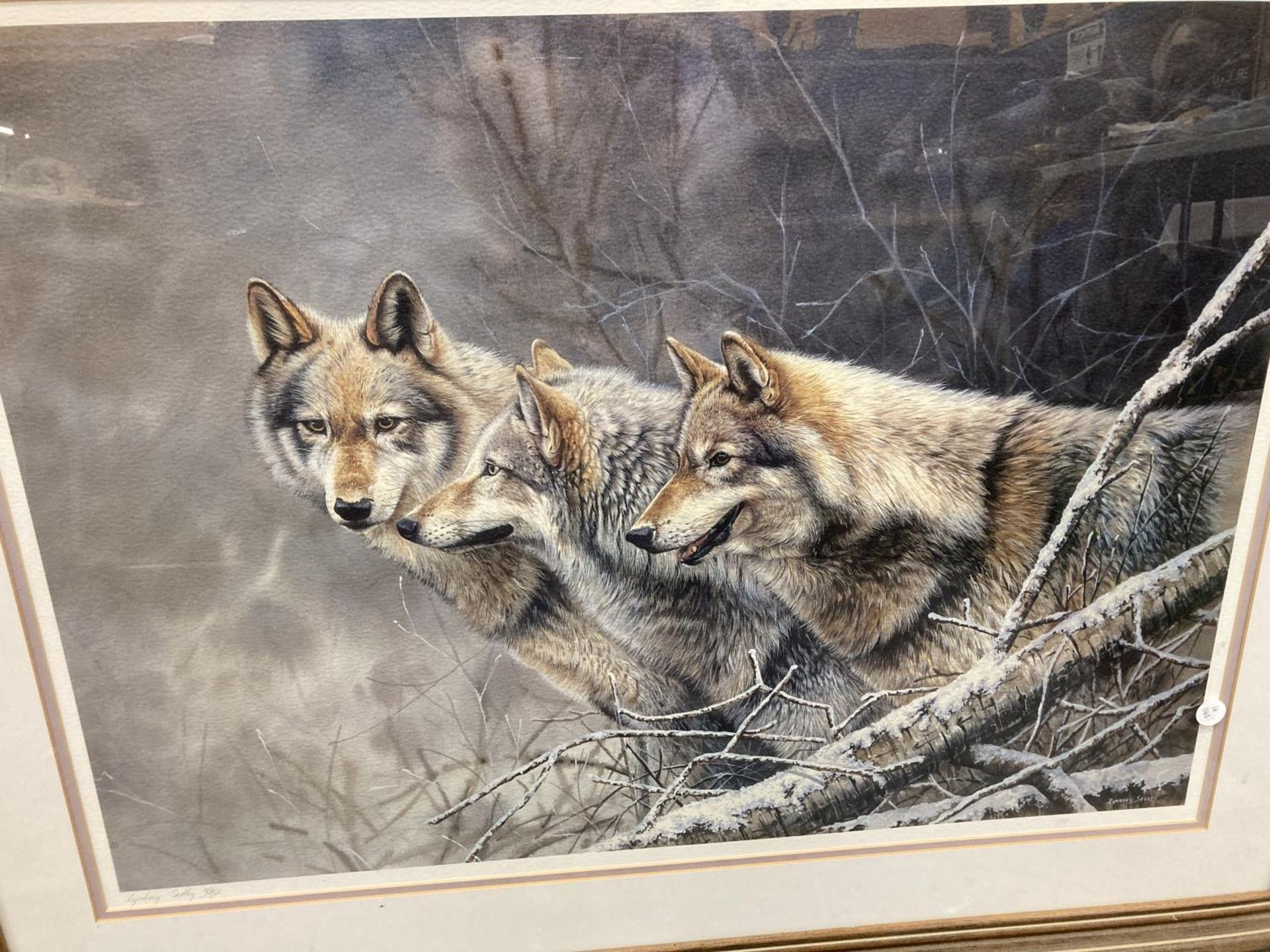 A LARGE FRAMED LIMITED EDITION PRINT DEPEICTING THREE WOLVES IN A WINTER FOREST SCENE SIGNED BY - Image 2 of 4