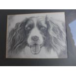 JAYNE MCCORMACK, PENCIL SKETCH OF A COCKER SPANIEL, SIGNED JAYNE 87, 23X30CM, FRAMED AND GLAZED, AND