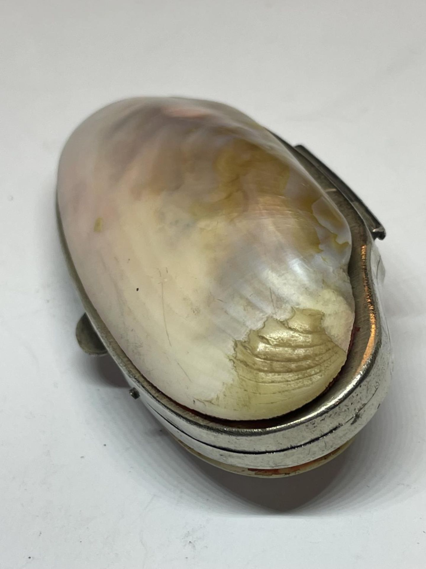 A PURSE MADE OUT OF A SHELL WITH A FOLDED INTERIOR - Image 2 of 3