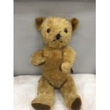A VINTAGE JOINTED TEDDY BEAR WITH GROWLER (NOT WORKING). HEIGHT APPROX 50CM