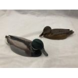 TWO COLD PAINTED BRONZE MALLARD DUCKS BY VAL BENNETT DEC 73 AND NOV 74