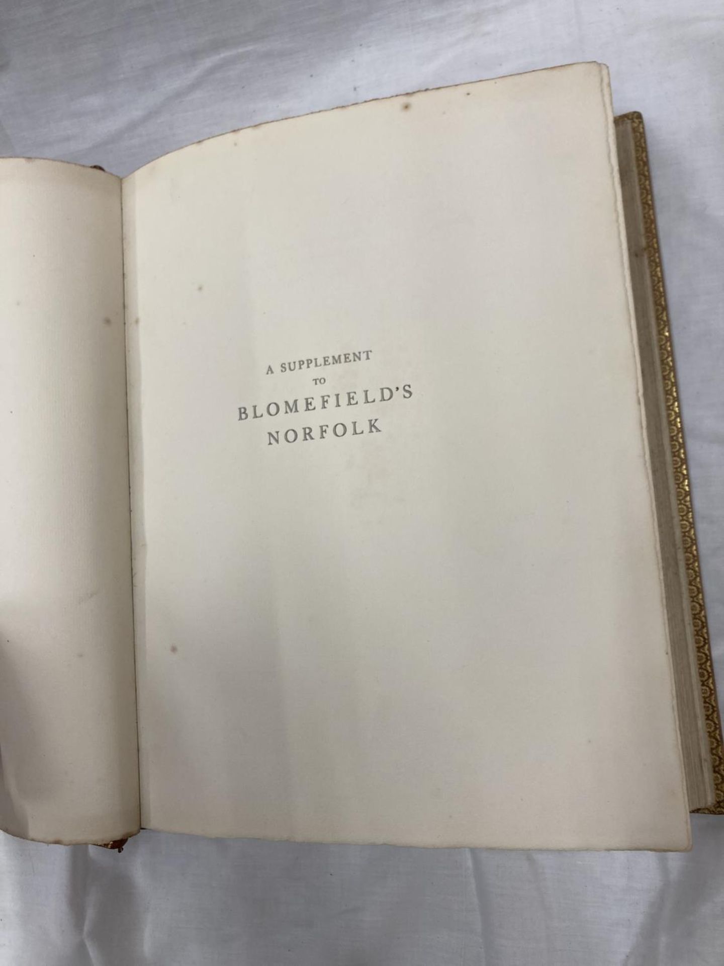 A SUPPLEMENT TO BLOOMFIELD'S NORFOLK - 1929 FOLIO SIZE, GILT TOP PAGE EDGES, PAGES CLEAN AND VG - Image 12 of 16