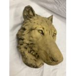 A STONE BUST OF A WOLF APPROXIMATELY 27CM X 22CM