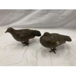 A PAIR OF HEAVY CAST PIGEONS APPROXIMATE LENGTH 21CM