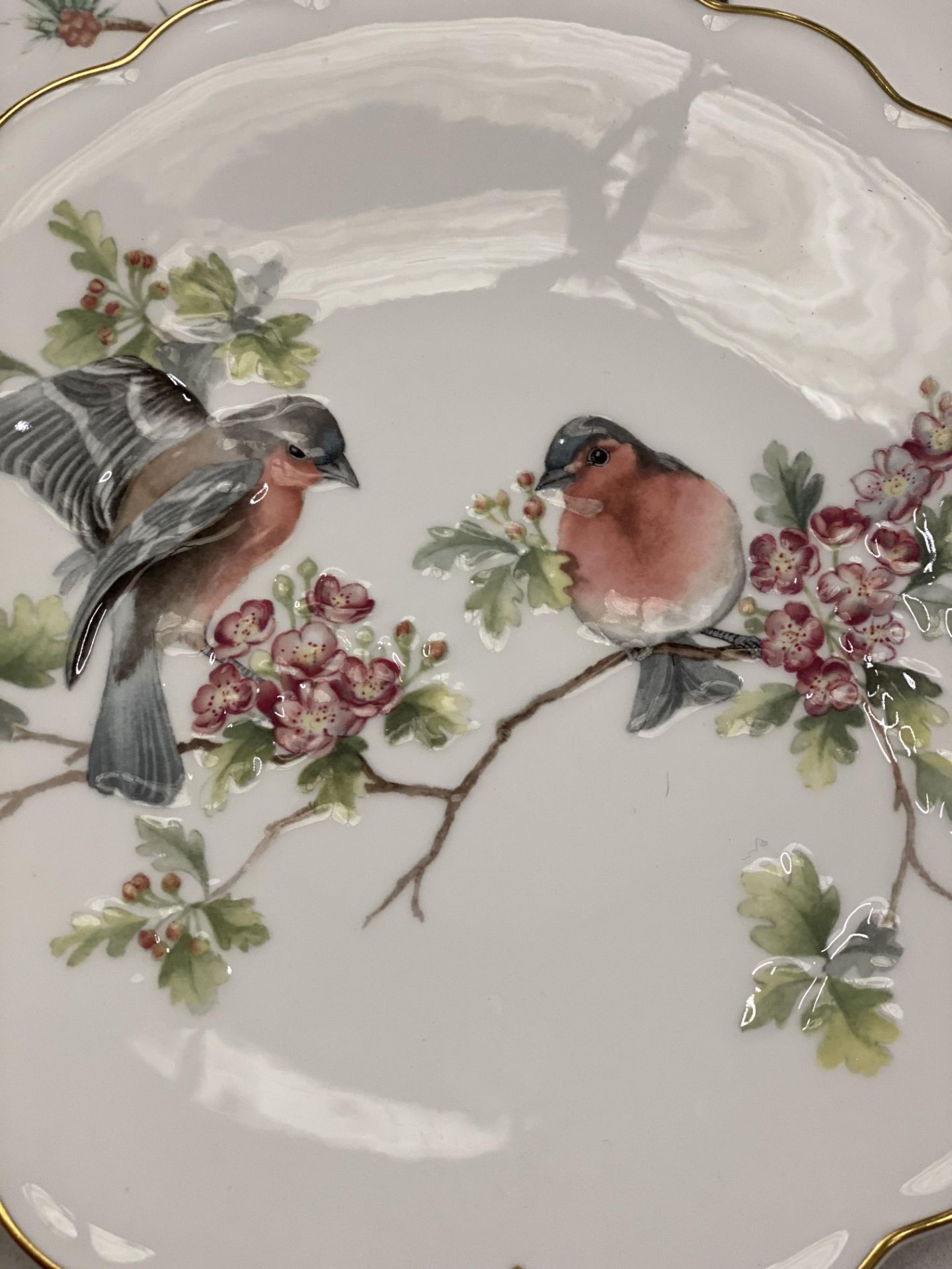 SIX COLLECTABLE 'THE BIRDS OF DOROTHY DOUGHTY DESSERT PLATES' TO INCLUDE KINGFISHER, ROBIN, ETC - Image 4 of 11