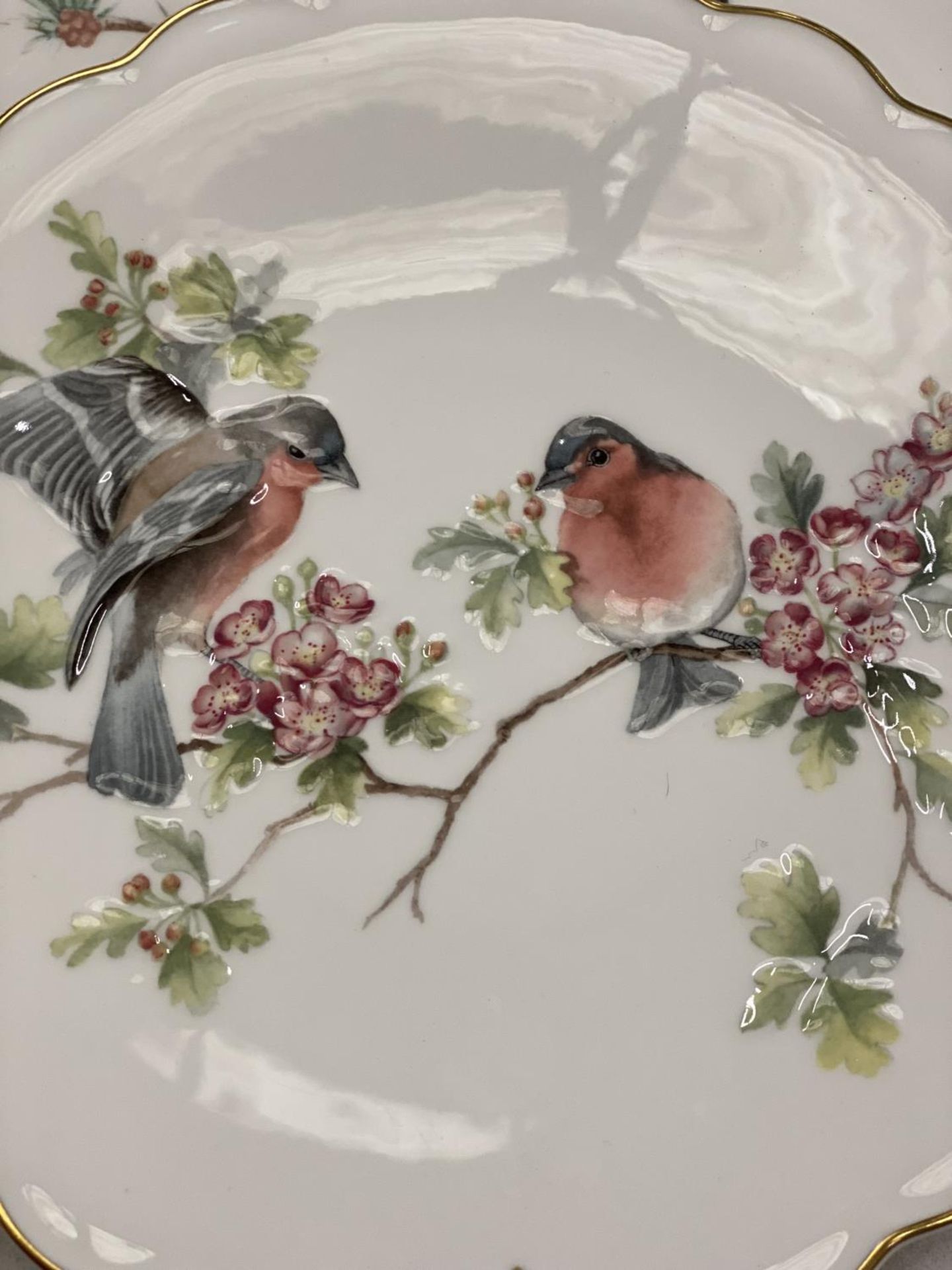 SIX COLLECTABLE 'THE BIRDS OF DOROTHY DOUGHTY DESSERT PLATES' TO INCLUDE KINGFISHER, ROBIN, ETC - Image 5 of 11