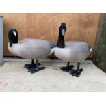 TWO PLASTIC DECOY CANADIAN GEESE