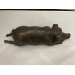 A BRONZE PIG LENGTH 24CM