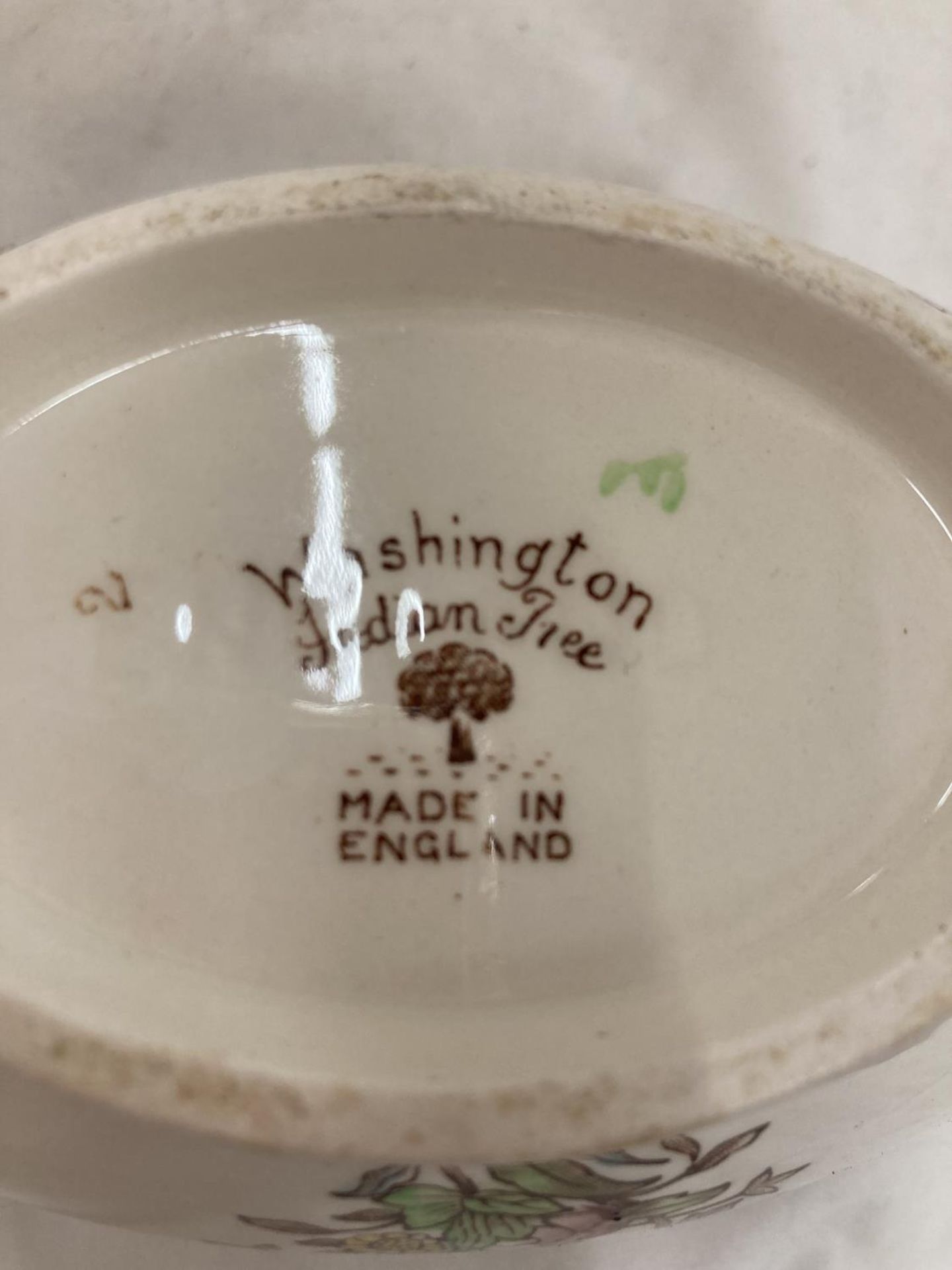 A QUANTITY OF WASHINGTON 'INDIAN TREE' DINNERWARE TO INCLUDE PLATES, BOWLS, TUREEN, SAUCE BOAT, ETC - Image 6 of 6