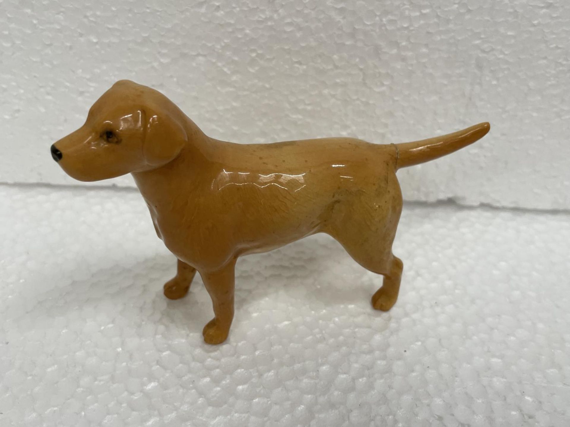 FIVE VARIOUS BESWICK DOGS (LABRADOR TAIL, SPANIEL AND COLLIE LEG A/F) - Image 3 of 7