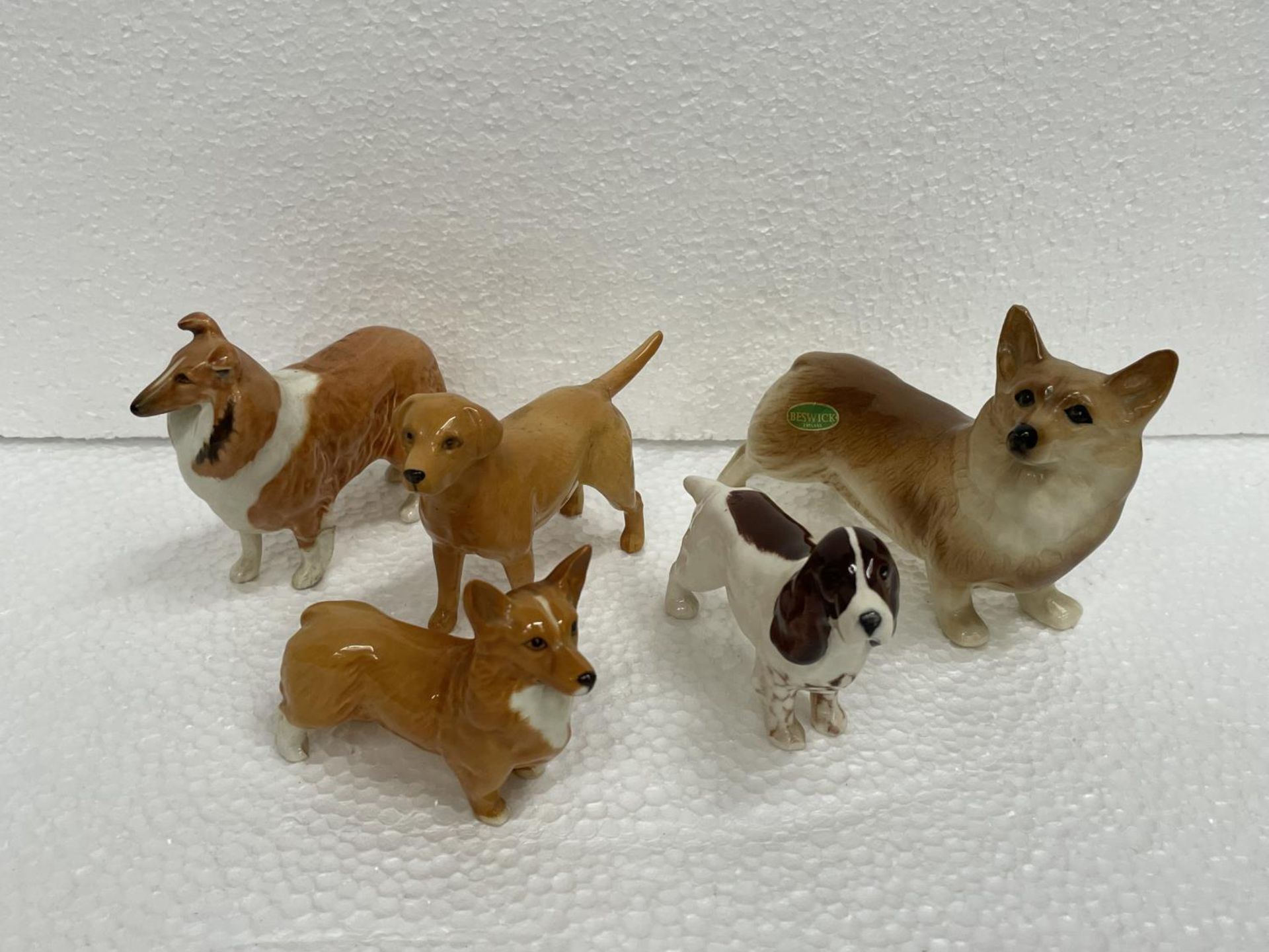 FIVE VARIOUS BESWICK DOGS (LABRADOR TAIL, SPANIEL AND COLLIE LEG A/F)