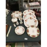 A QUANTITY OF ROYAL ALBERT COUNTRY ROSES TO INCLUDE PLATES, A BOWL, VASE AND CRUETS PLUS FOUR PIECES