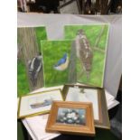 THREE PENCIL ON CANVAS PICTURES OF BIRDS, A STILL LIFE OIL ON BOARD SIGNED R COX PLUS TWO PRINTS