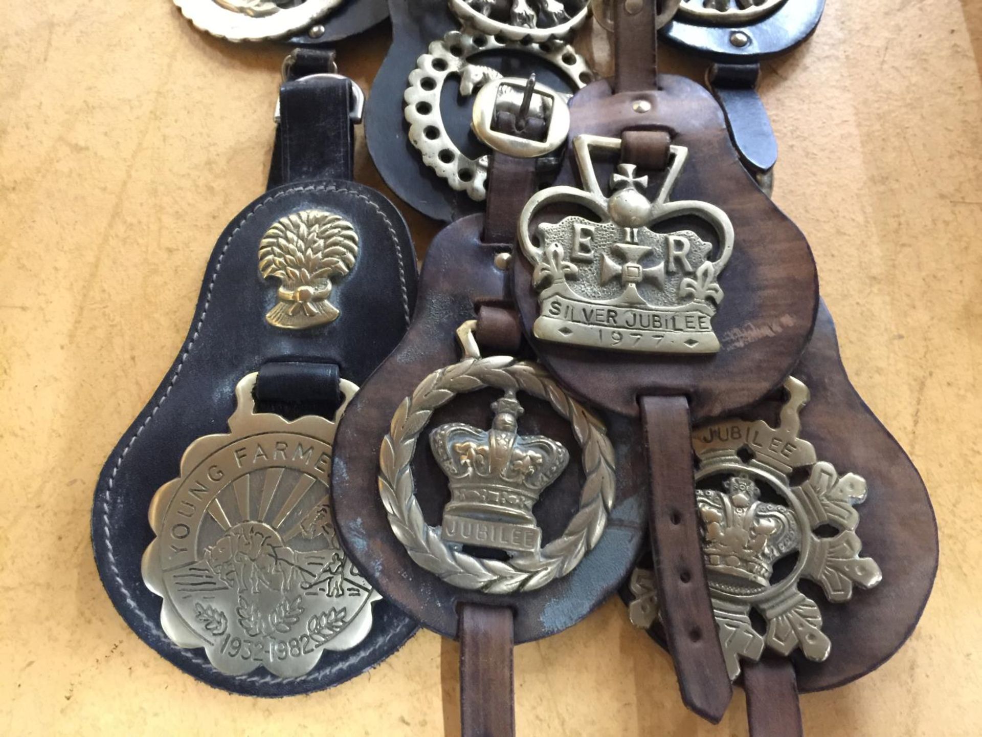 A COLLECTION OF HORSE BRASSES TO INCLUDE YOUNG FARMERS, SILVER JUBILEE, JOHN PEEL, ETC - Image 2 of 3