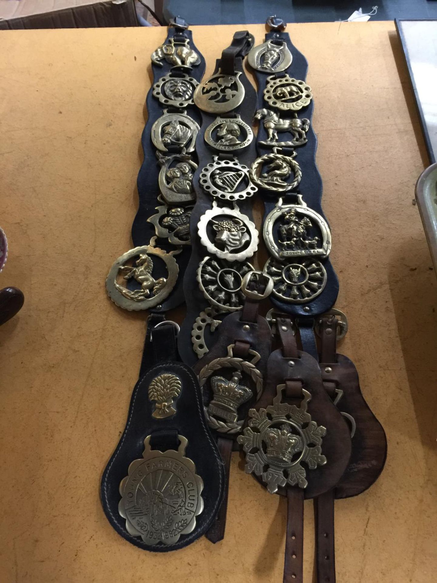 A COLLECTION OF HORSE BRASSES TO INCLUDE YOUNG FARMERS, SILVER JUBILEE, JOHN PEEL, ETC