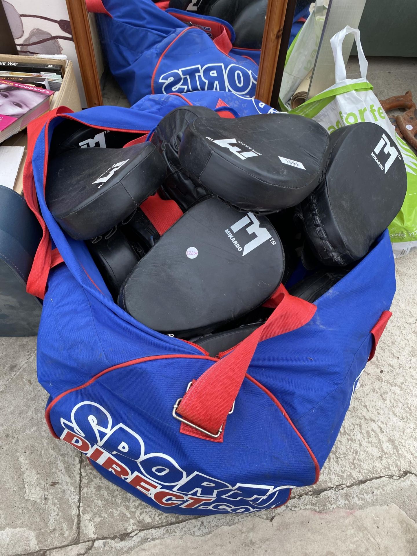 AN ASSORTMENT OF BOXING GLOVES AND PADS